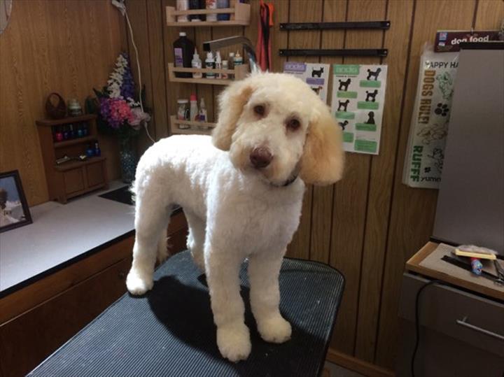 Animal House Adams, WI